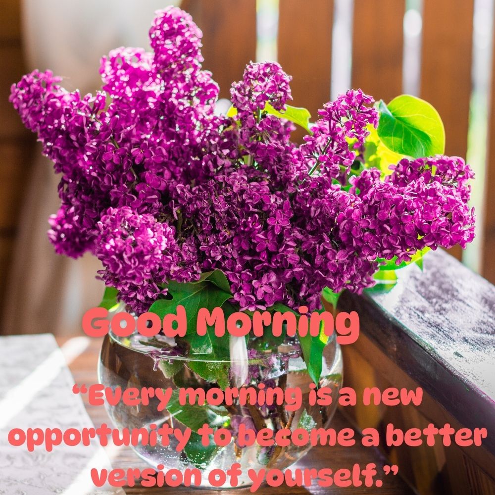 Good Morning Images With Quotes | Good Morning Images With Quotes quotes and wishes