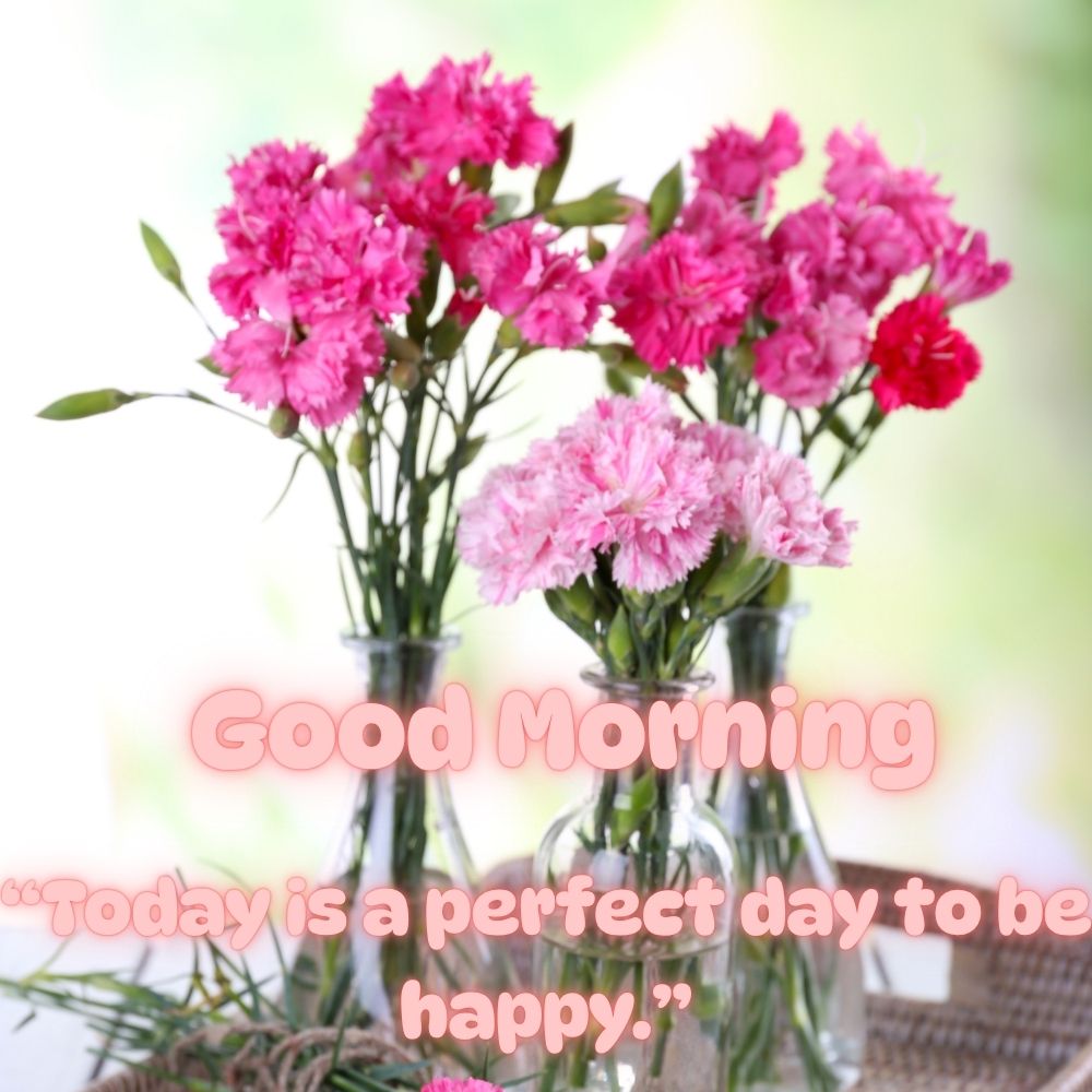 Good Morning Images With Quotes | Good Morning Images With Quotes quotes and wishes