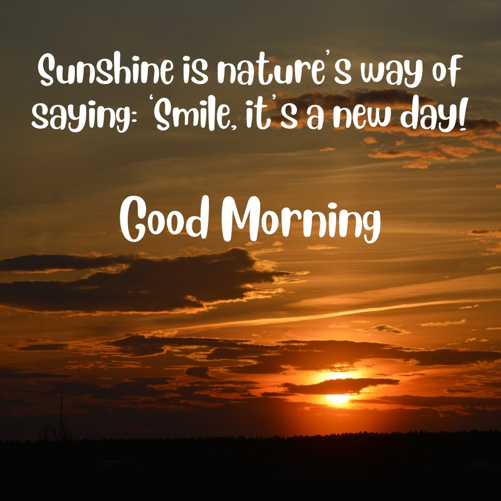 d Morning Sunshine Image 39 | Good Morning Sunshine Images quotes and wishes