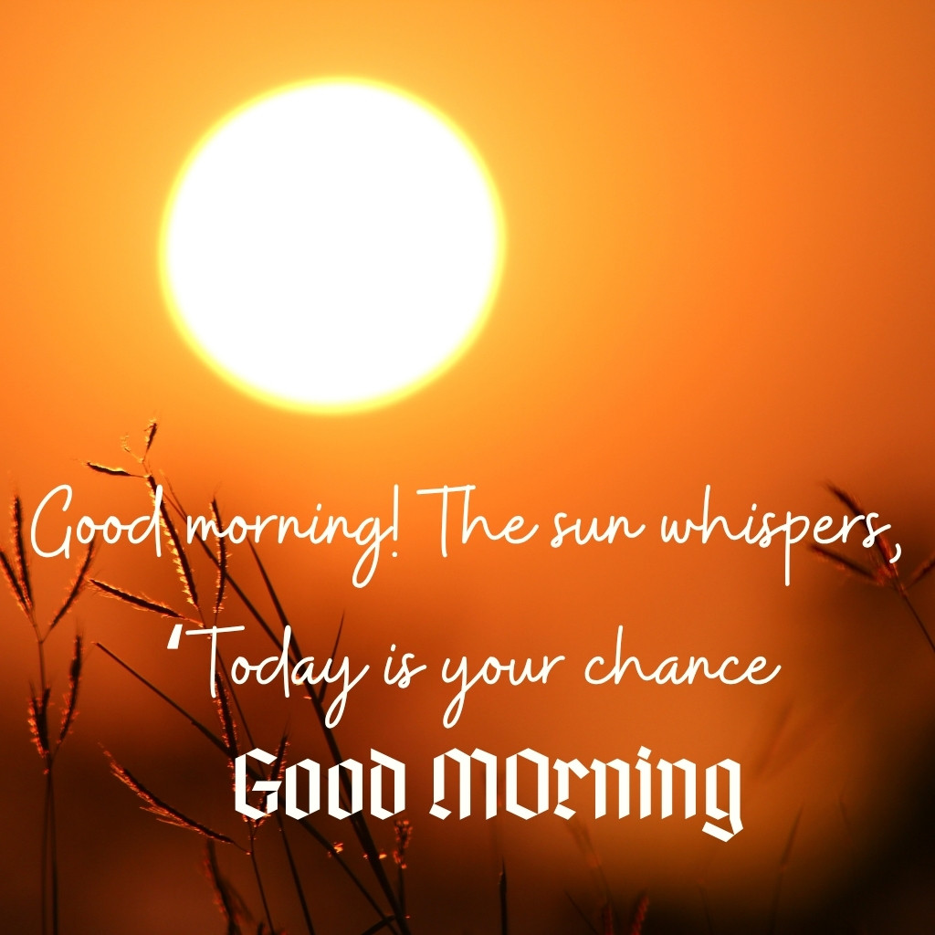 Good Morning Sunshine Image 20 | Good Morning Sunshine Images quotes and wishes