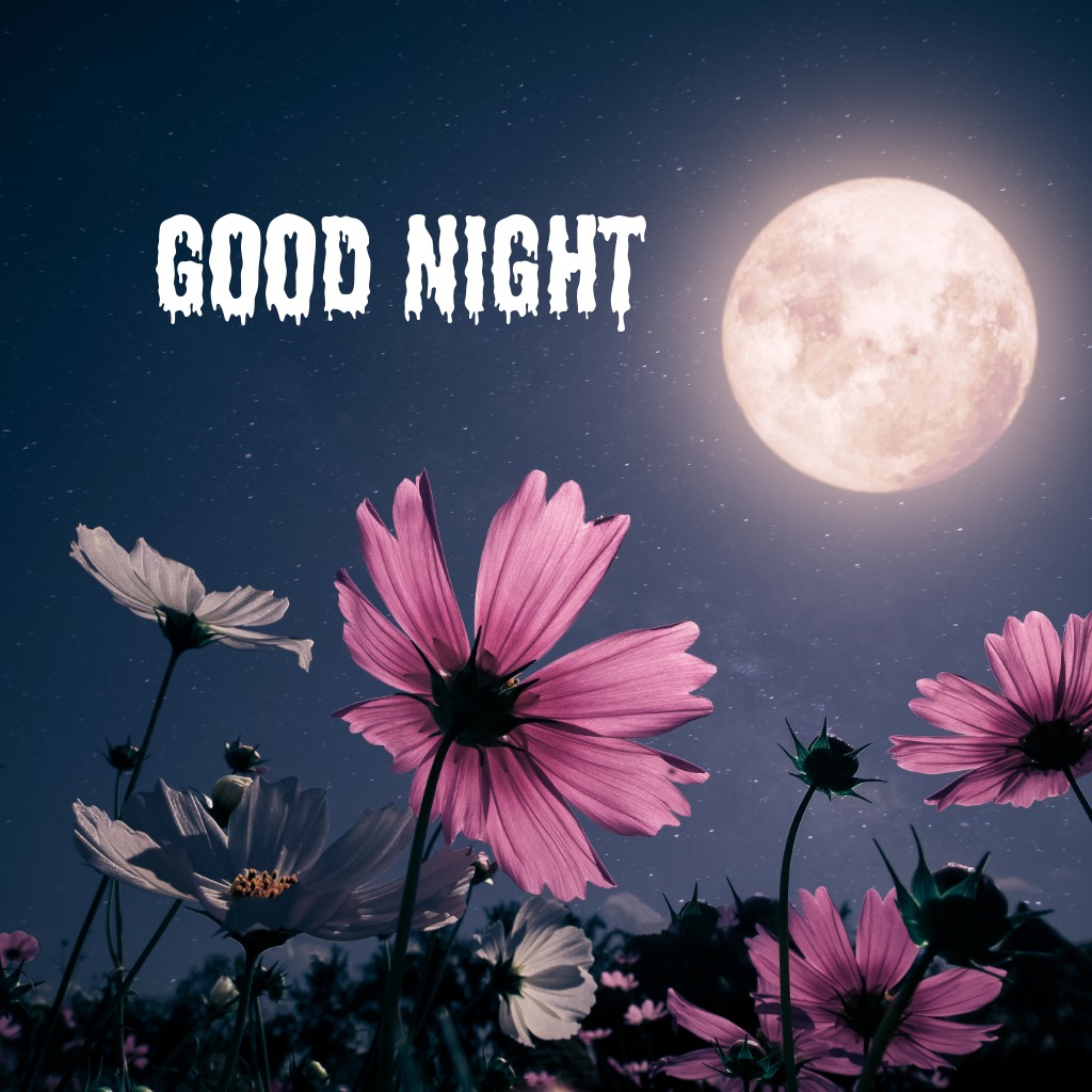 Good Night Flowers — Nature's Goodnight Kiss | Good Night Images 2026 quotes and wishes