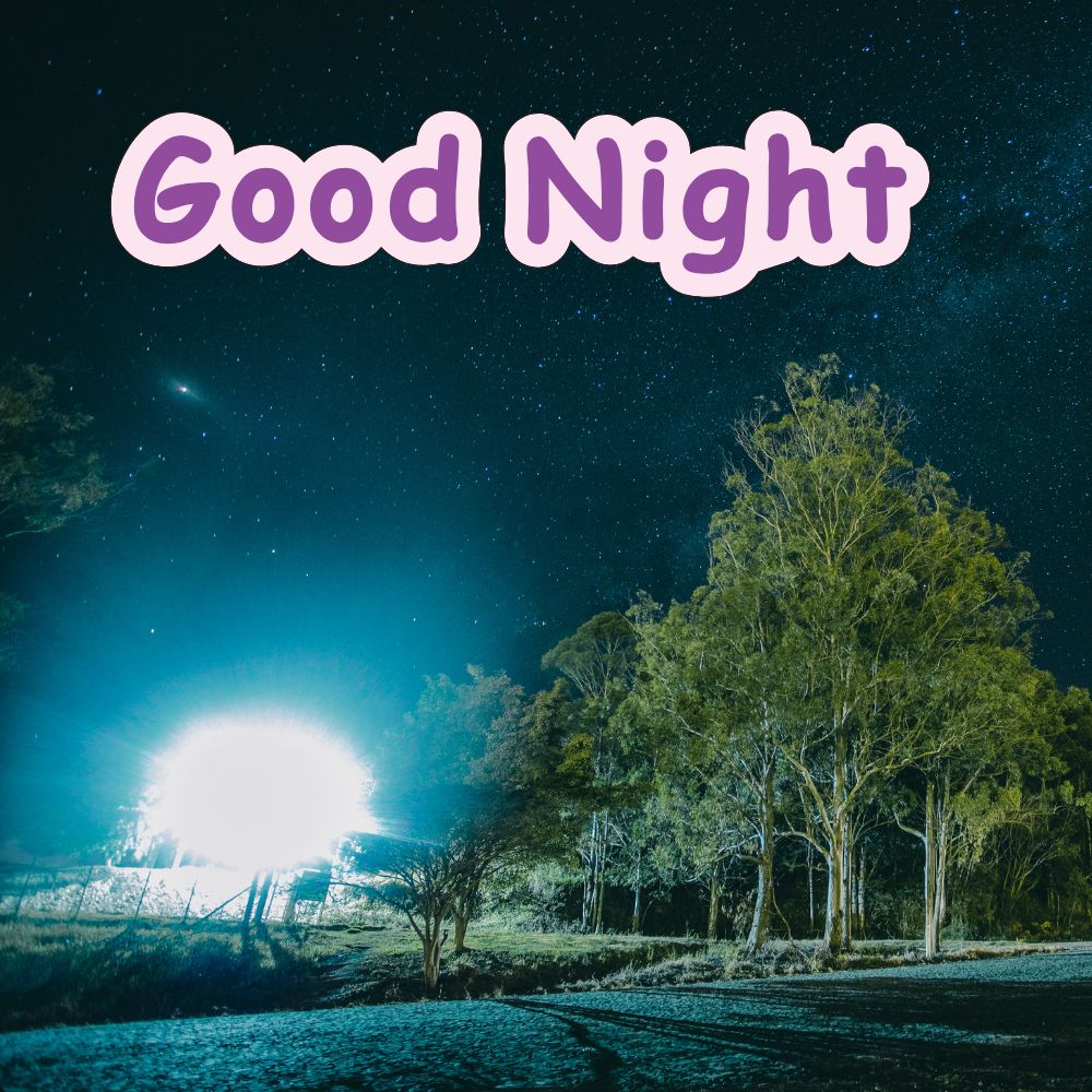 Good Night Images | Good Night Images quotes and wishes