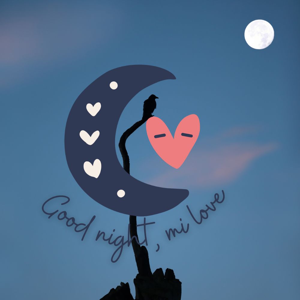 Good Night Images | Good Night Images quotes and wishes
