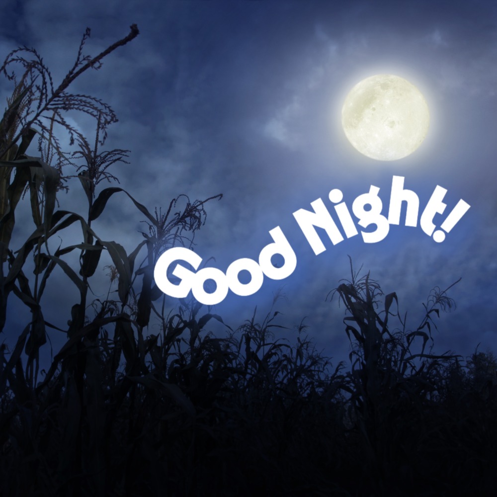 Good Night Images | Good Night Images quotes and wishes