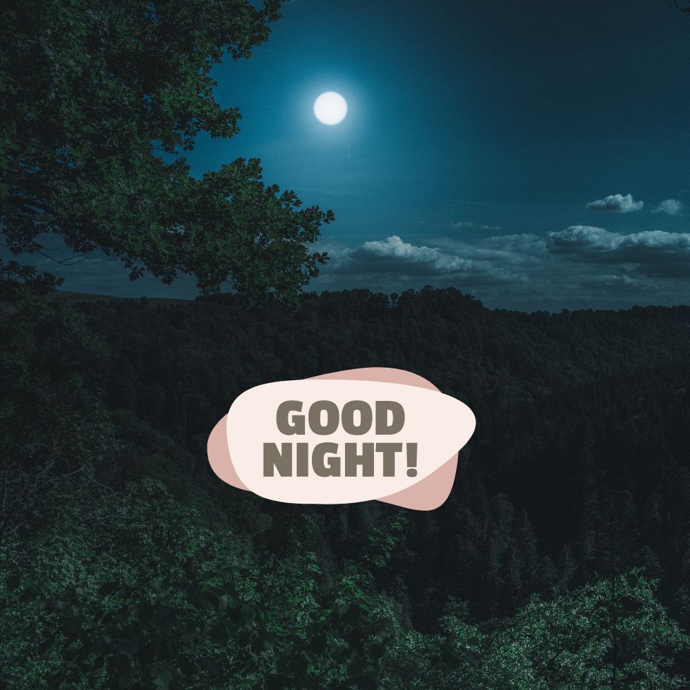 Good Night Images | Good Night Images quotes and wishes