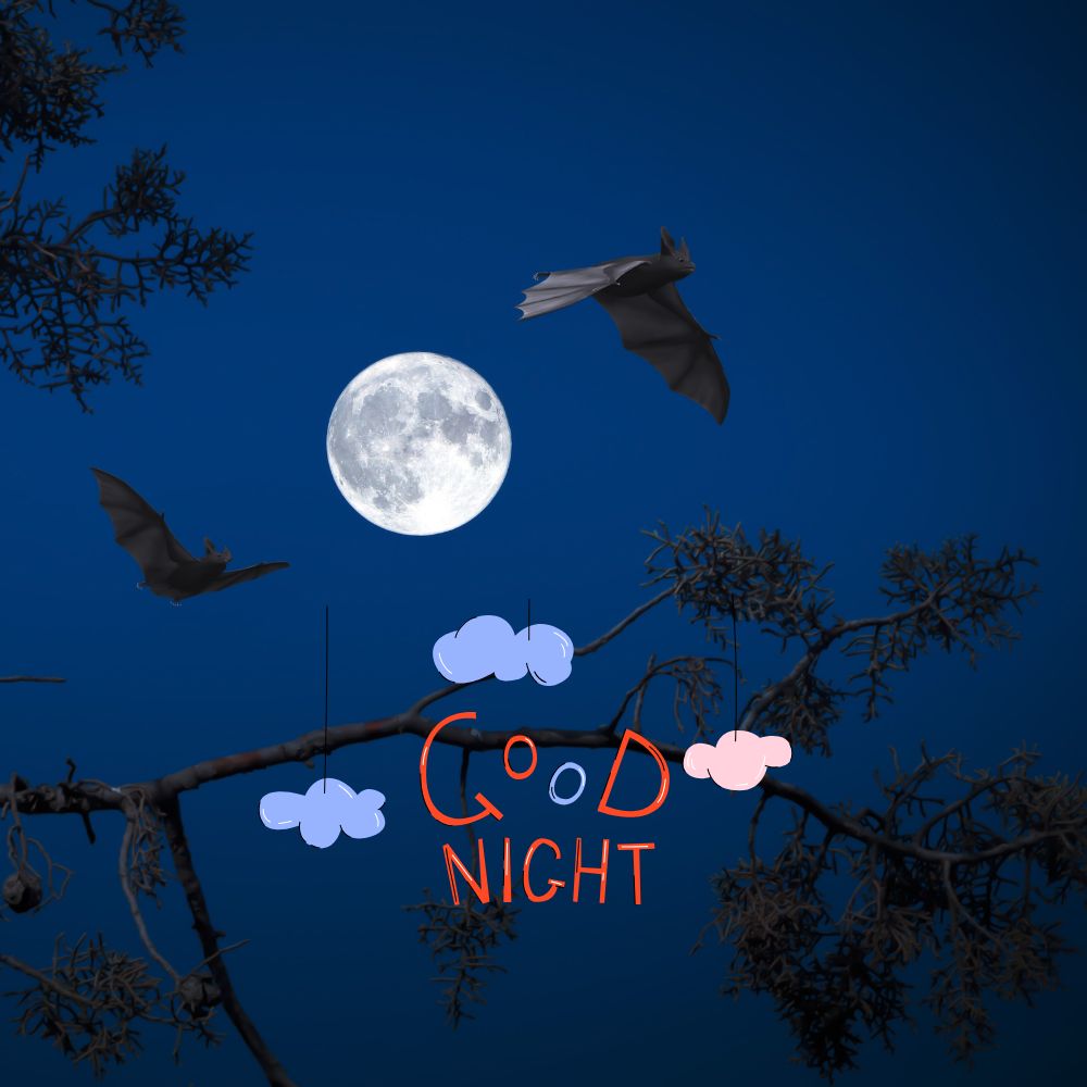 Good Night Images | Good Night Images quotes and wishes