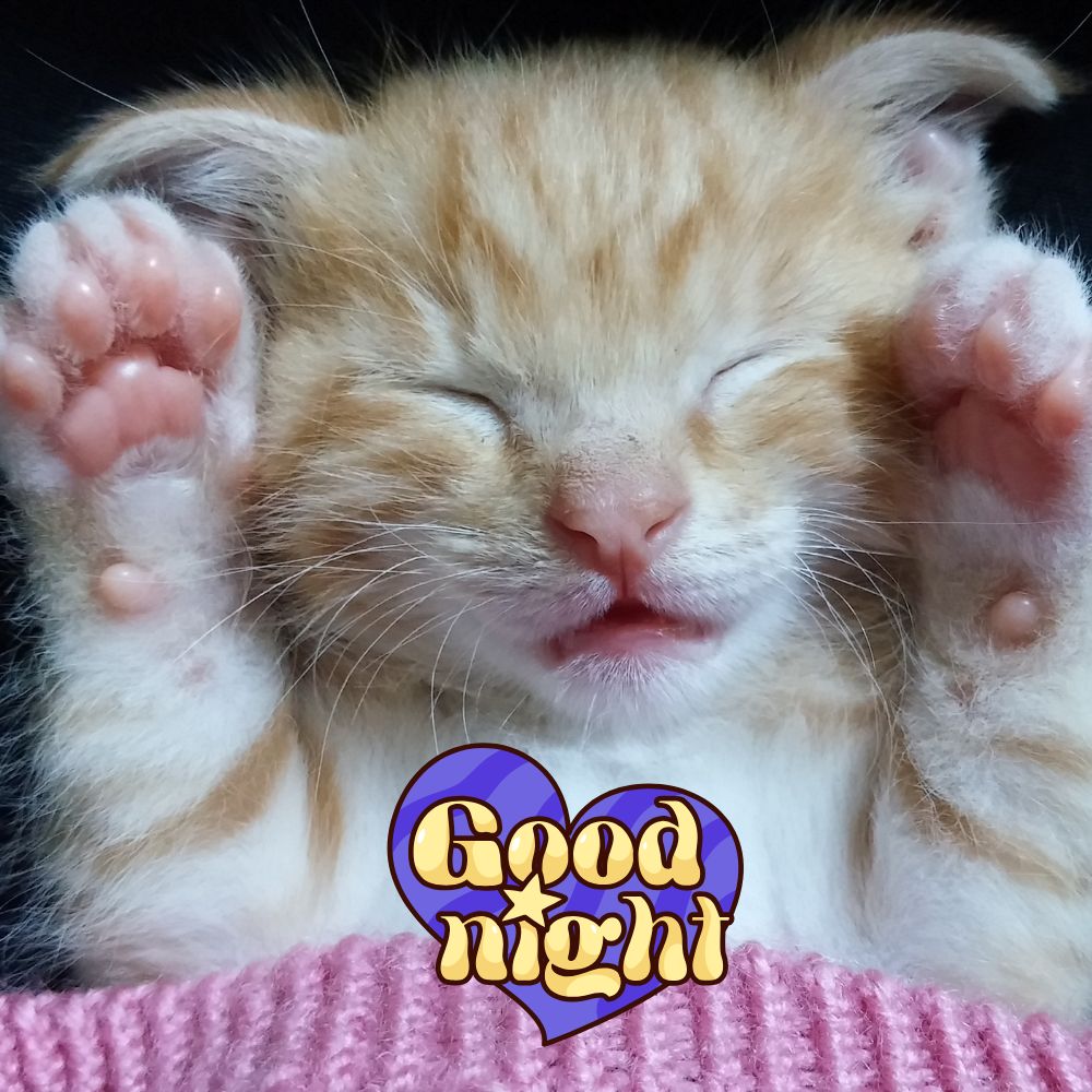 Good Night Images | Good Night Images quotes and wishes