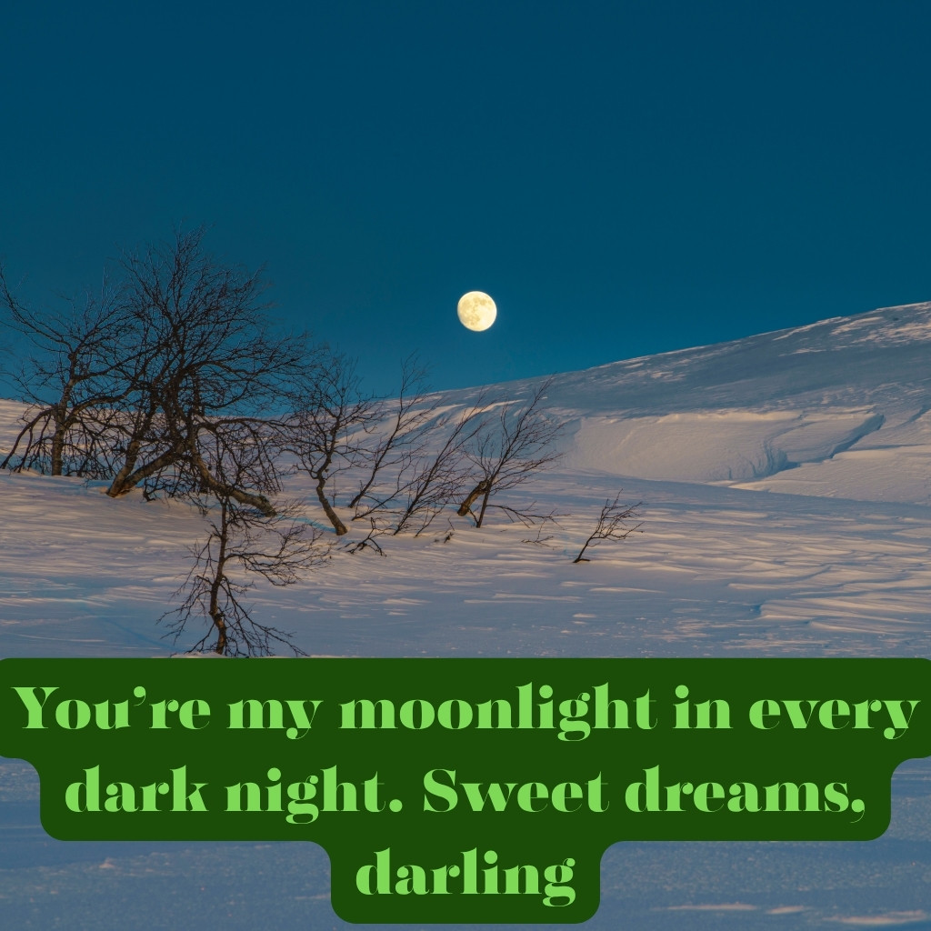 Good Night Images Between Couples 10 | Good Night Images Between Couples quotes and wishes