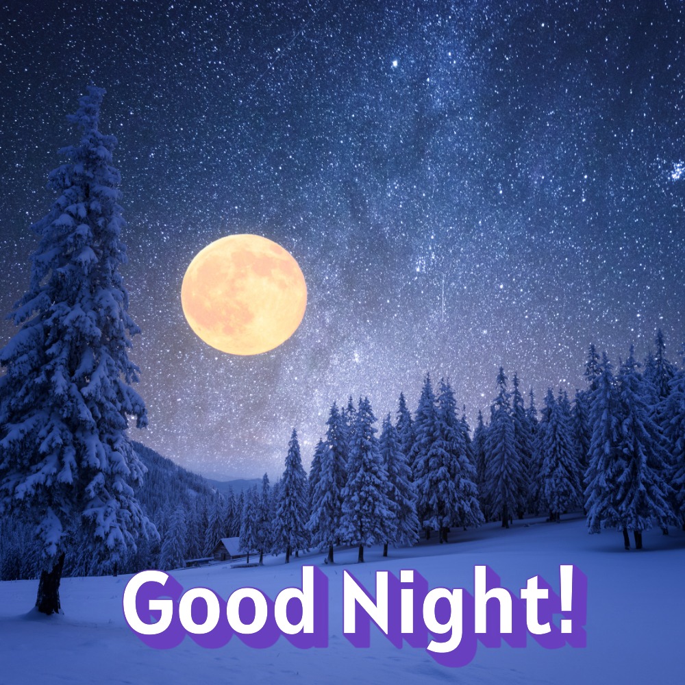 Good Night Images | Good Night Images quotes and wishes