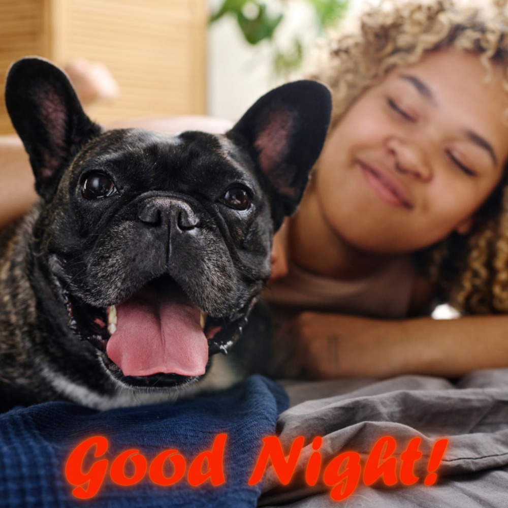 Good Night Images | Good Night Images quotes and wishes