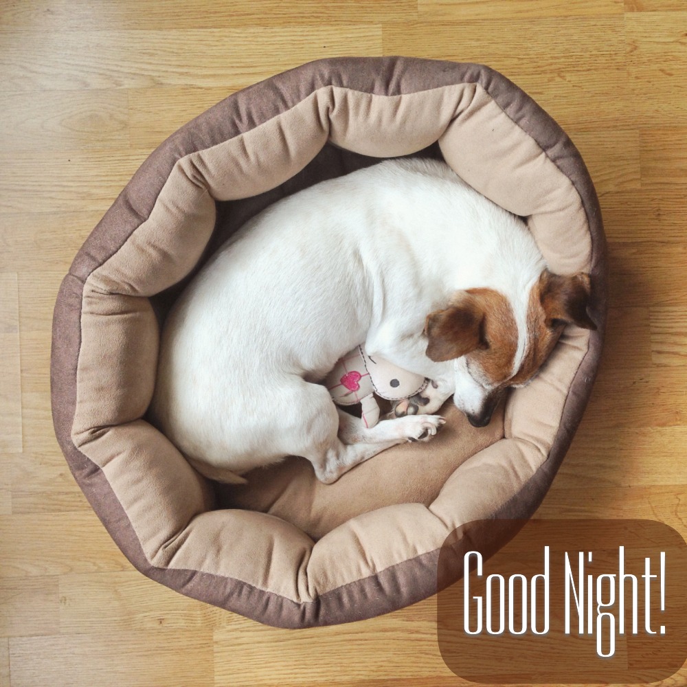 Good Night Images | Good Night Images quotes and wishes