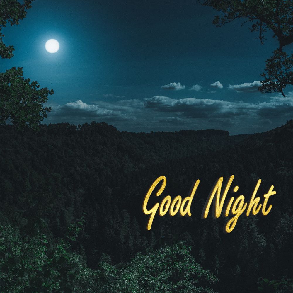 Good Night Images | Good Night Images quotes and wishes