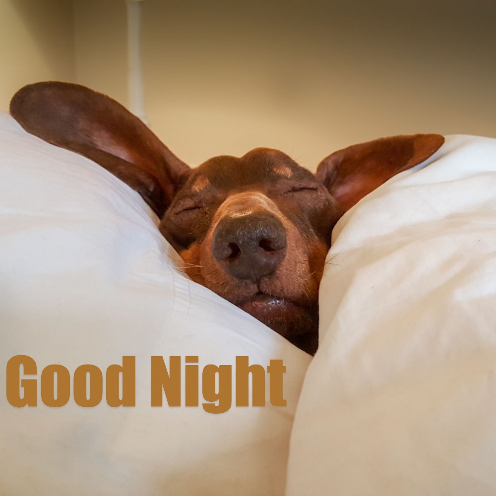 Good Night Images | Good Night Images quotes and wishes