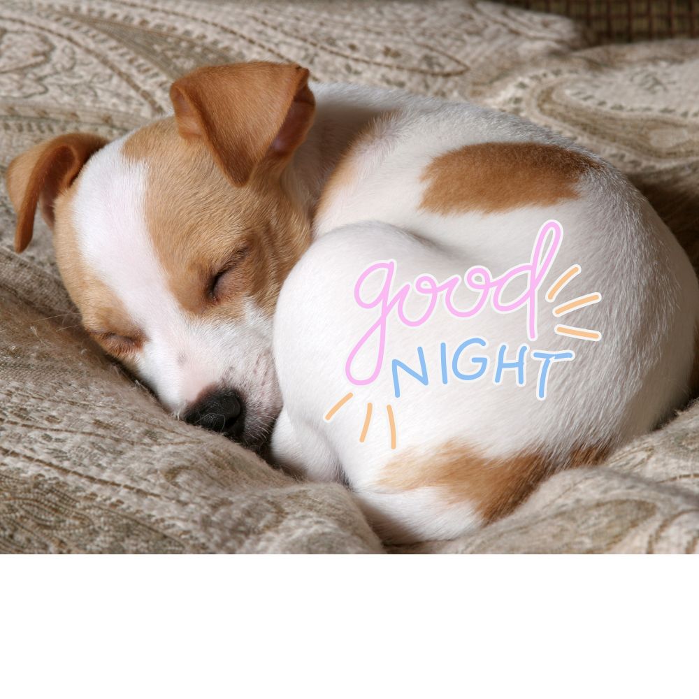 Good Night Images | Good Night Images quotes and wishes
