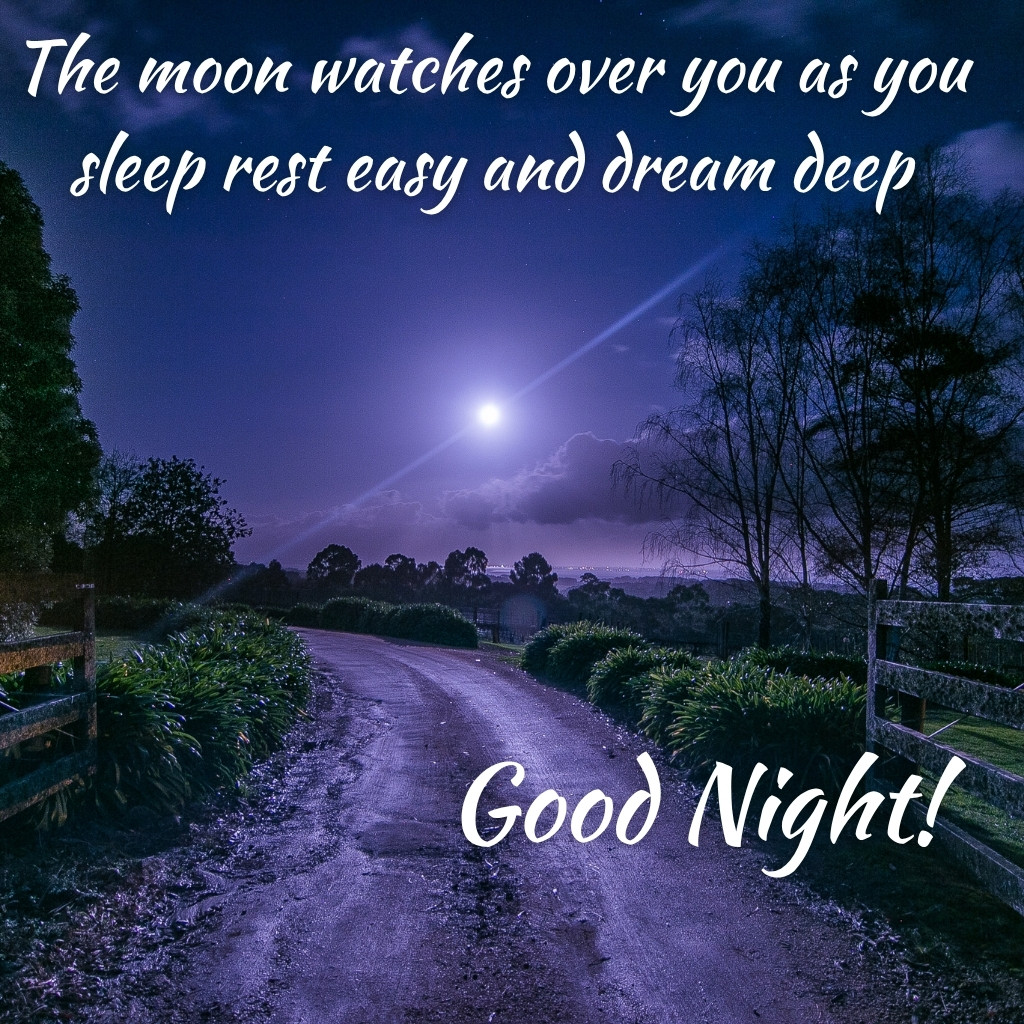 Good Night Images With Moon 04 | Good Night Images With Moon quotes and wishes