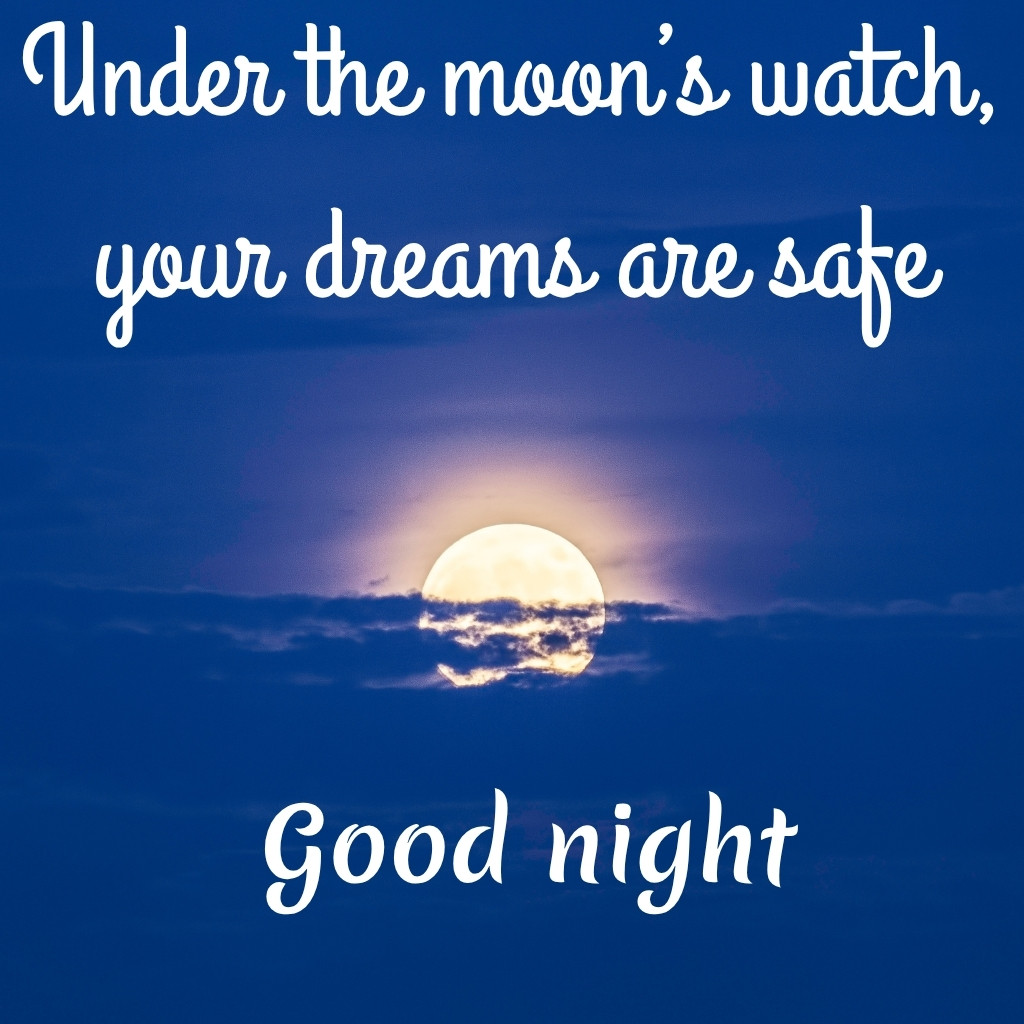 Good Night Images With Moon 25 | Good Night Images With Moon quotes and wishes