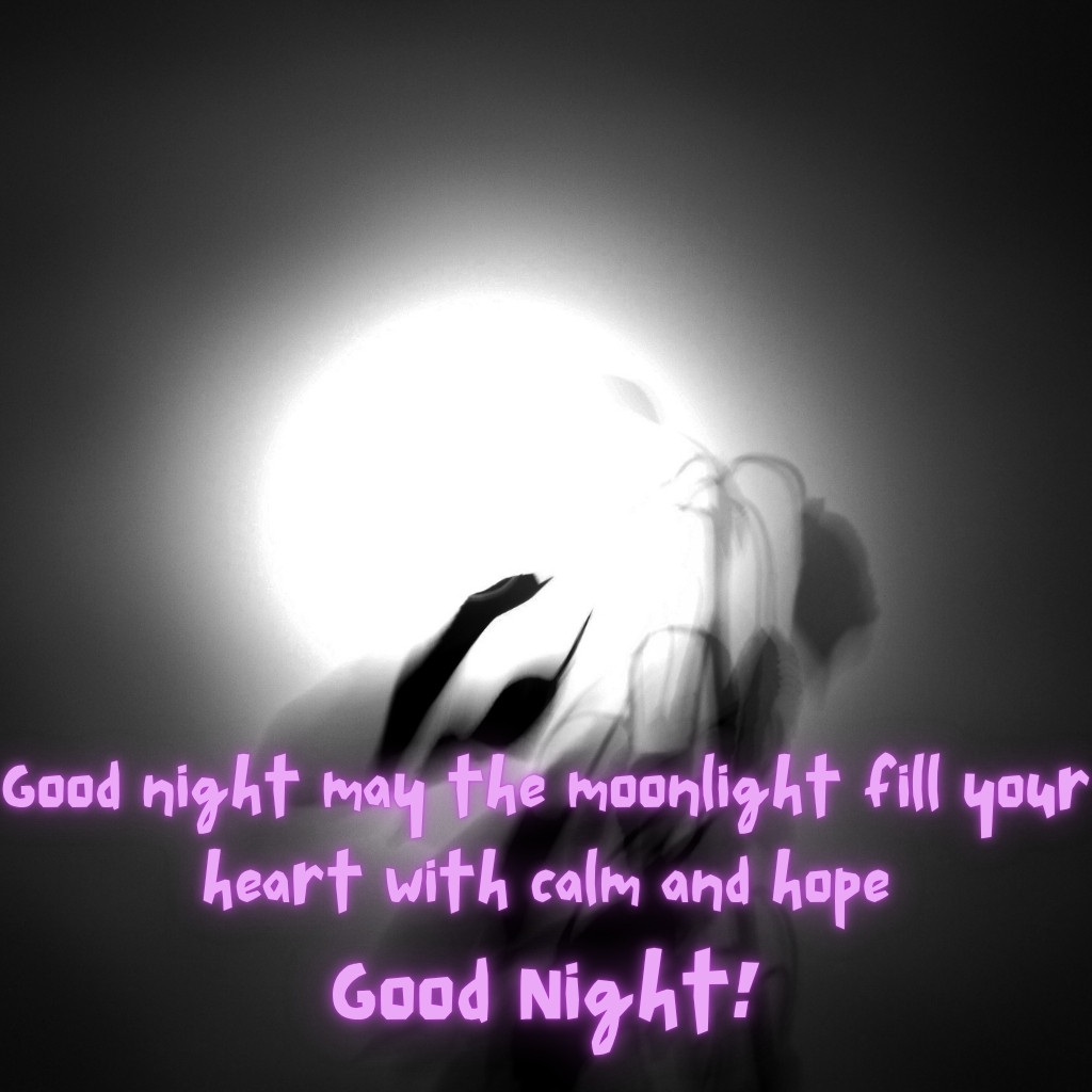 Good Night Images With Moon 21 | Good Night Images With Moon quotes and wishes