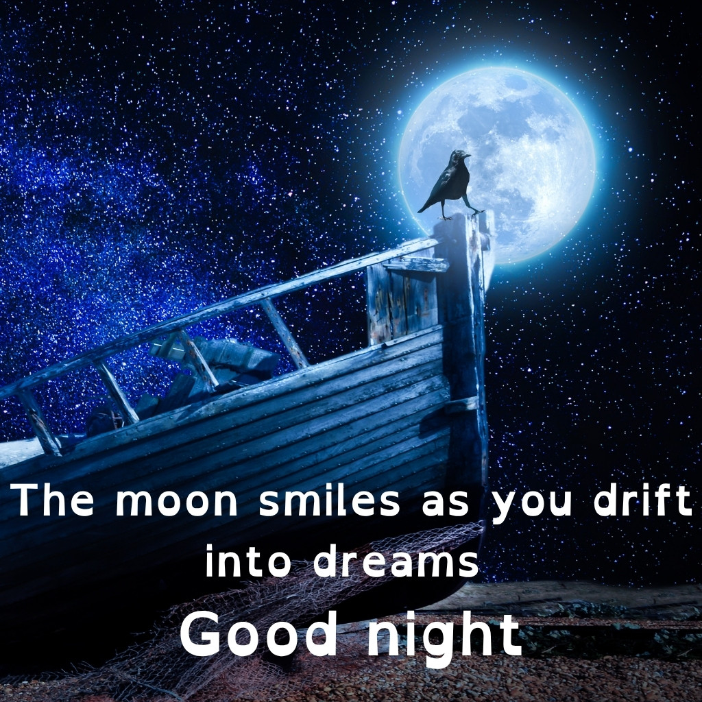 Good Night Images With Moon 20 | Good Night Images With Moon quotes and wishes
