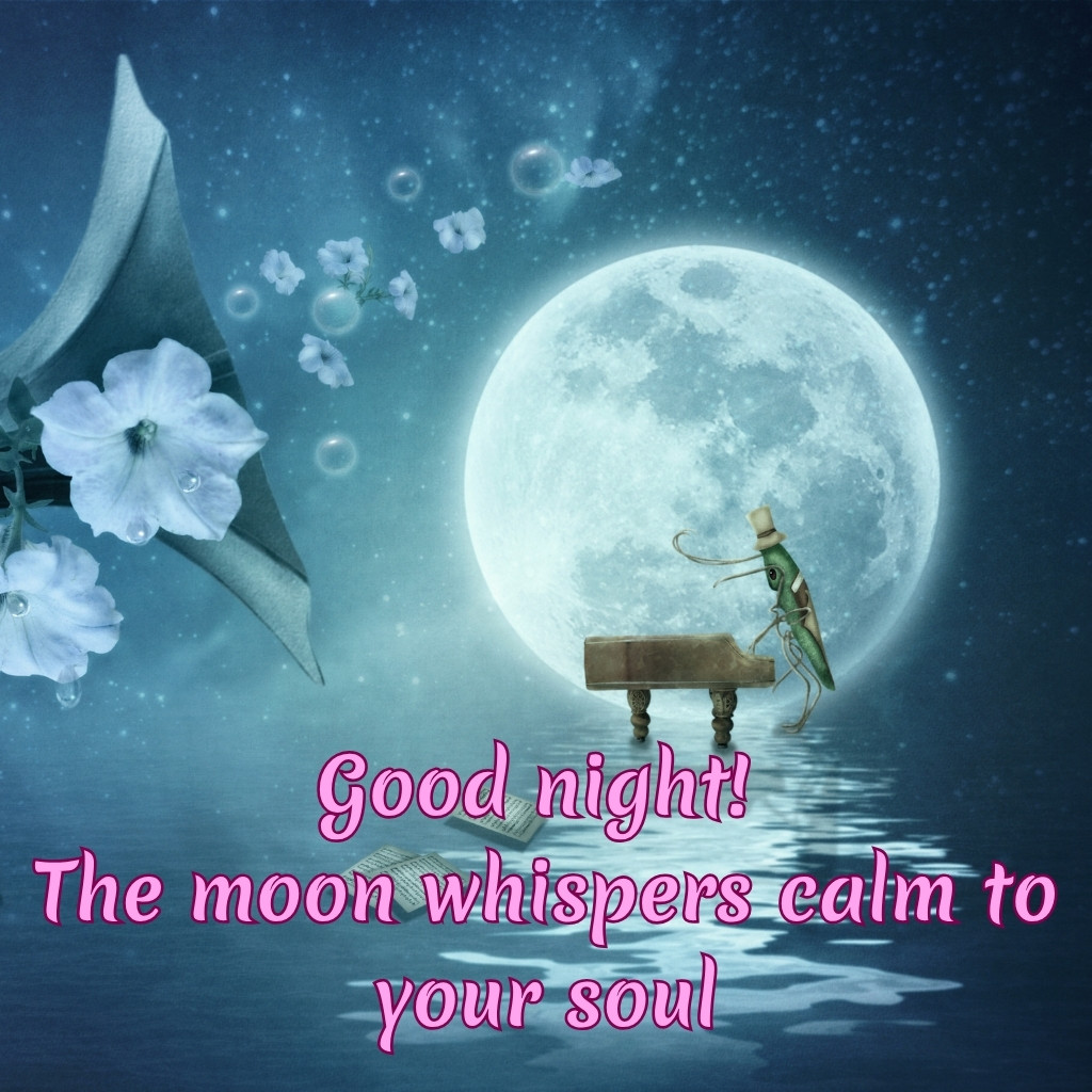 Good Night Images With Moon 14 | Good Night Images With Moon quotes and wishes