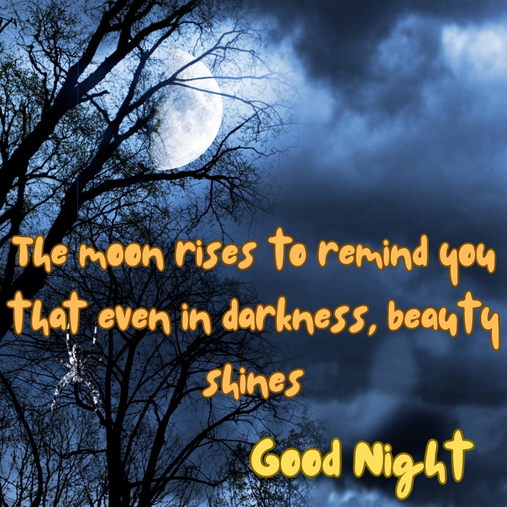 Good Night Images With Moon 09 | Good Night Images With Moon quotes and wishes