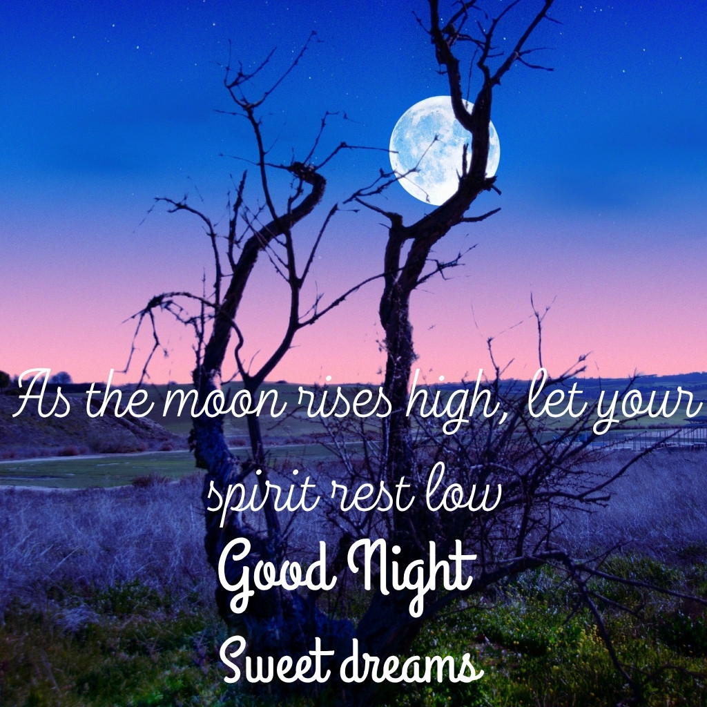 Good Night Images With Moon 23 | Good Night Images With Moon quotes and wishes