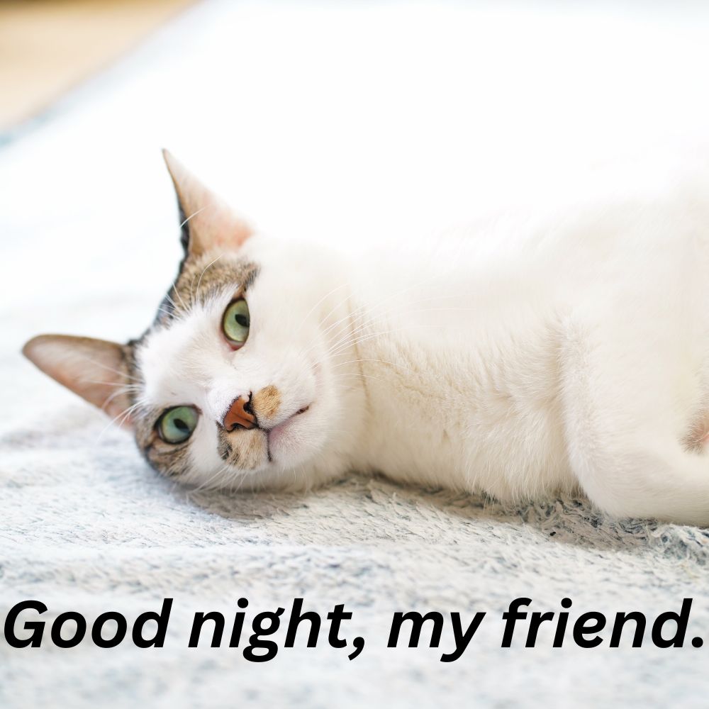 Good Night Images With Quotes | Good Night Images With Quotes quotes and wishes