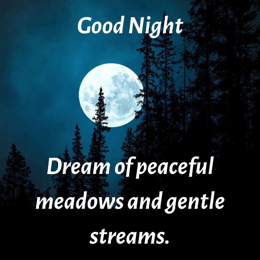 Good Night Images With Quotes | Good Night Images With Quotes quotes and wishes