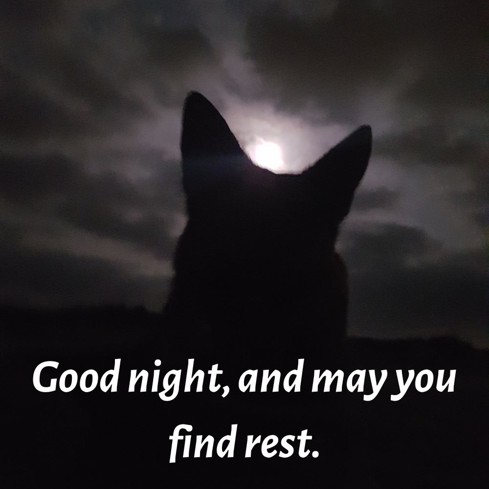 Good Night Images With Quotes | Good Night Images With Quotes quotes and wishes