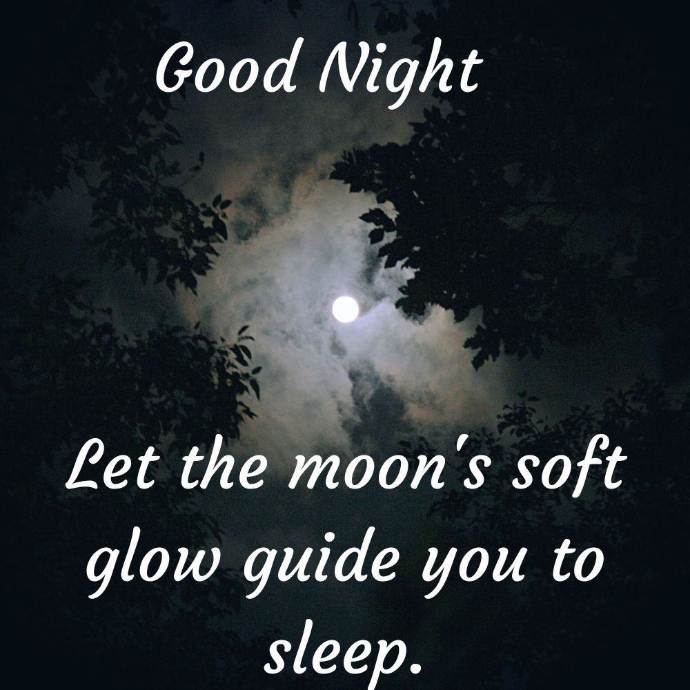 Good Night Images With Quotes | Good Night Images With Quotes quotes and wishes