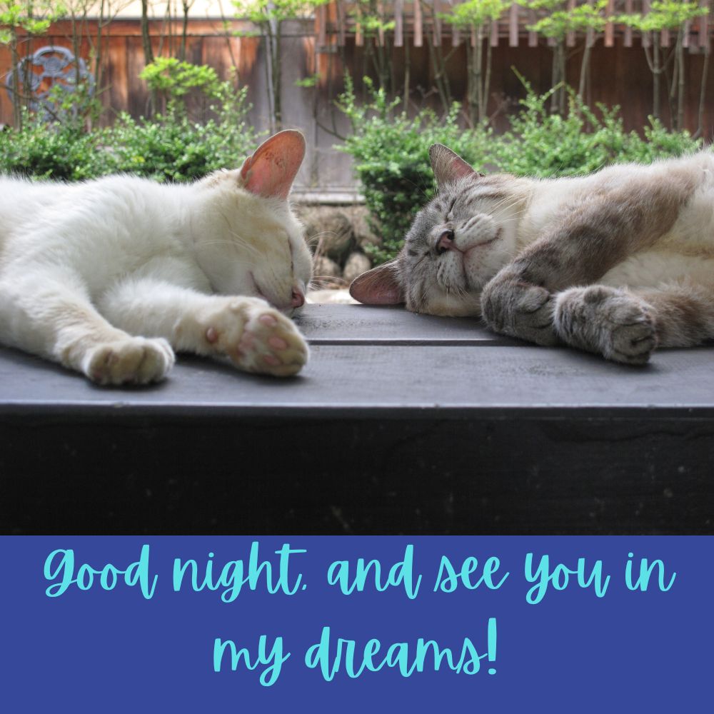 Good Night Images With Quotes | Good Night Images With Quotes quotes and wishes