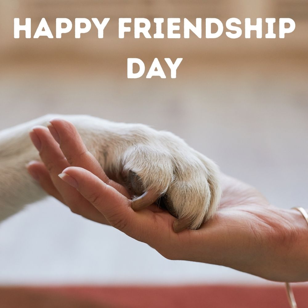 Happy Friendship Day Images | Happy Friendship Day Images quotes and wishes