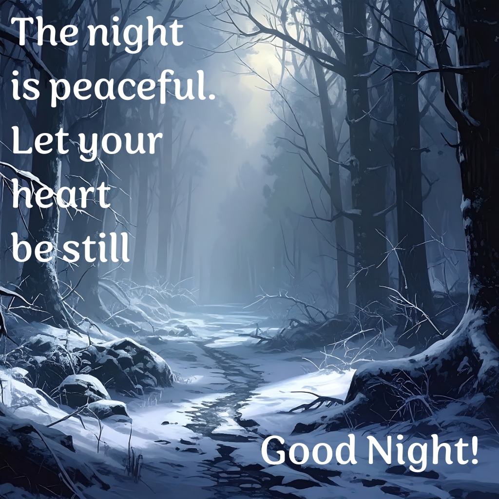 Moonlit Forest Path | Good Night Images With Moon quotes and wishes