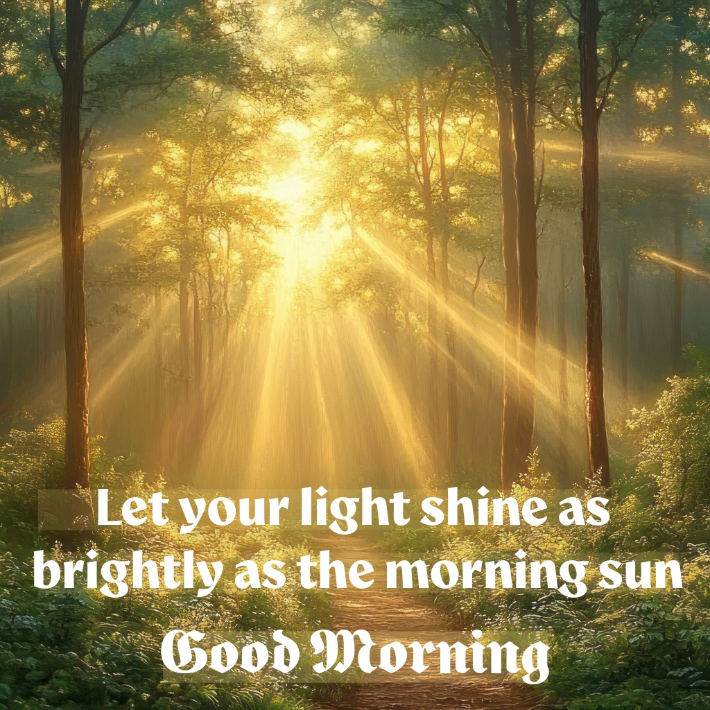 Sunlight Through Trees | Good Morning Sunshine Images quotes and wishes
